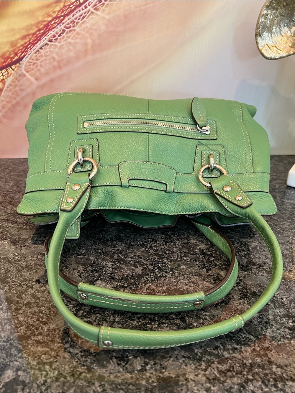 Coach Penelope Grass Pebbled Leather Satchel Bag with Silver Hardware - Picture 6 of 8